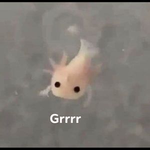 Meet your Posher, 𝑚𝑎𝑙𝑖𝑦𝑎ℎ